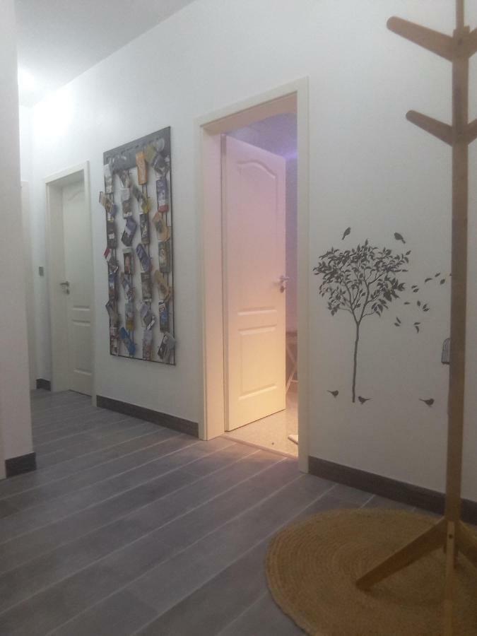 Chez Moera -Sur La Route Des Vins - Kaysersberg Apartment Exterior photo